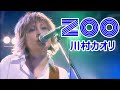 川村カオリ/ZOO /ライブ : re-birth 20090123