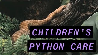 Children’s Python Care!