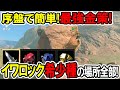 【ティアキン】最強金策!序盤で簡単!イワロック希少種の全場所!【ゼルダの伝説】