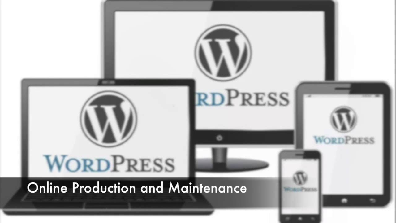 Разработчик wordpress