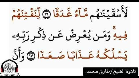 سورة الجن كاملة|تلاوة/طارق محمد .. القران الكريم
