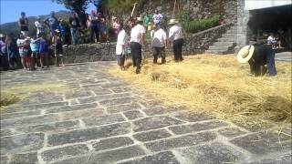 Malhada de Centeio tradicional de Aboim da Nóbrega (2013) - Parte 1