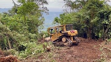 The Most Skilled Operator! Watch How This Bulldozer Clears the Forest Super Fast!