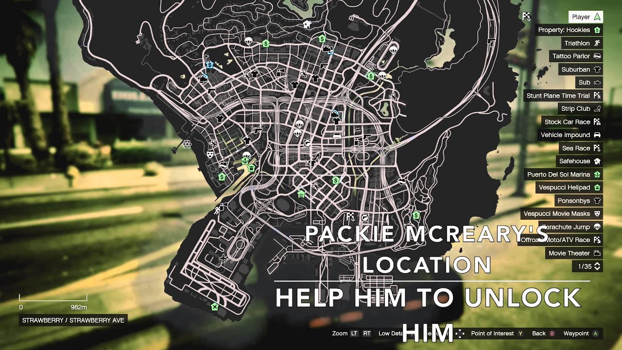 gta 5 visit all locations in director mode