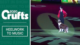 Heelwork To Music Winner at Crufts 2020