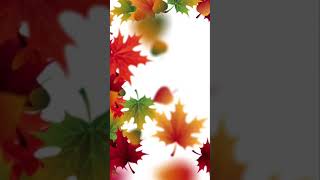 Live Wallpaper For Samsung Galaxy A51.