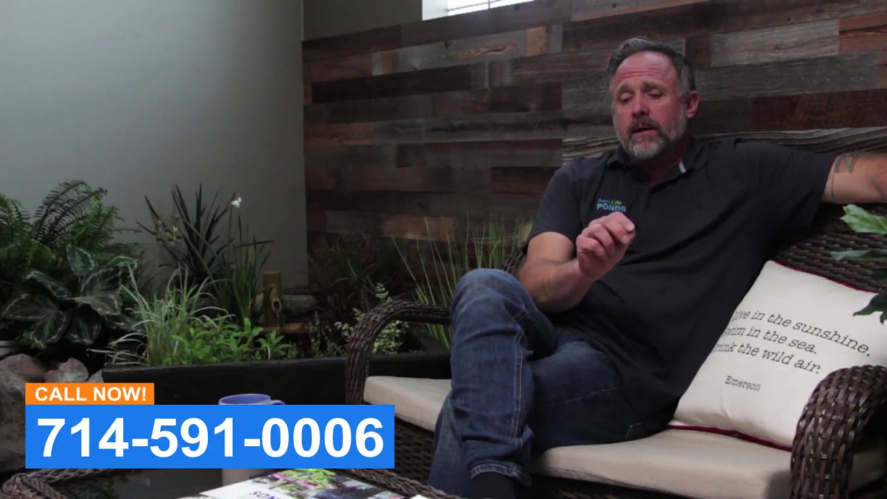 Koi Pond Maintenance Orange County CA