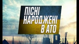 Владимир Пуряева - Не грусти. Песни, рожденные в АТО