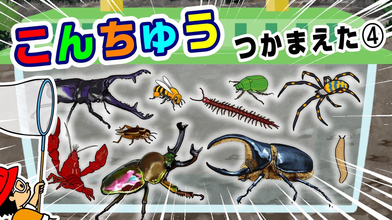 Kabaya 昆虫名鑑 全15種(シークレット含む)コンプリート Insect Names] Insect Names! Insect Collection 4 (Stag Beetle