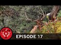 3000 Vertical Feet and a 25-yard Chip Shot (Destination Elk V2: Episode 17)