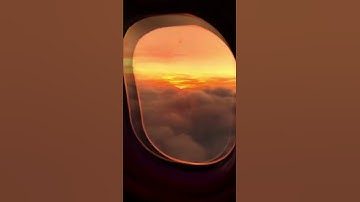 سورة الزمر القارئ أدهم نابلسي 🤍