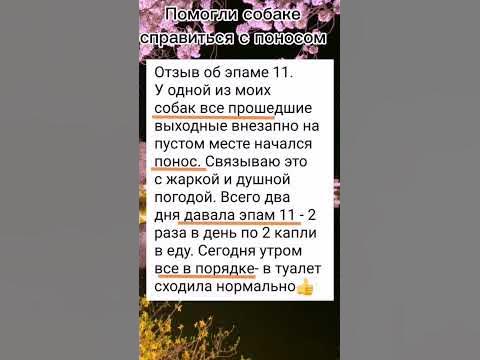 Эпам 11 желудочно-кишечный - YouTube