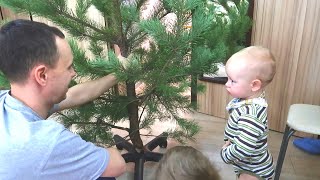 vlog 🌲 КУПИЛИ ЕЛКУ // Расхламляем КУХНЮ // наша традиция КАЖДЫЙ НОВЫЙ ГОД..