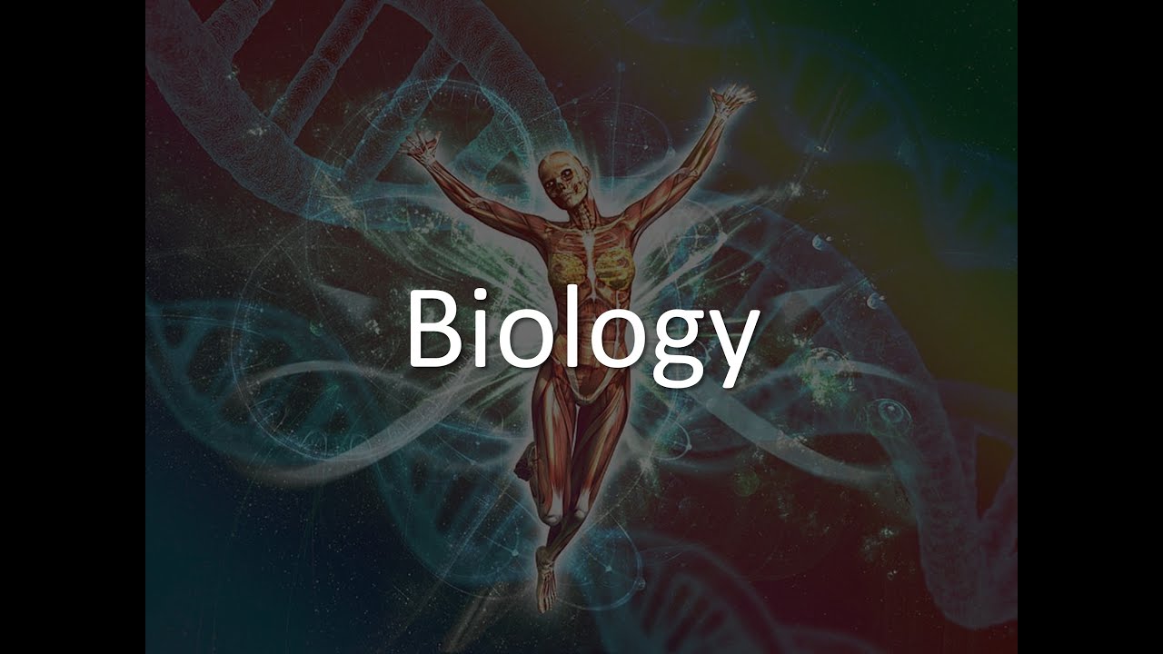 Biology - 63 views  Oct 14, 2020
Holmes Chapel Sixth Form Virtual Open Evening 2020