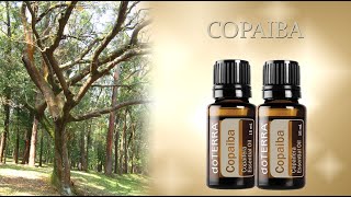 Copaiba - Olejek Eteryczny