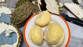 ทุเรียนหมอนทอง พูใหญ่ๆ เนื้ออร่อยหวานมันมาก #durian #ทุเรียน #ทุเรียนหมอนทอง