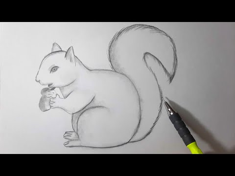 Video: Kalemle Sincap Nasıl çizilir