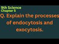 Explain the processes of   endocytosis and exocytosis  . How does Amoeba obtain its food?  