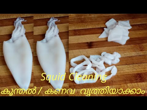 Koonthal / Kanava Cleaning and Cutting || Squid Cleaning || കൂന്തൽ / കണവ വൃത്തിയാക്കാം
