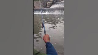 Download lagu hiburan melepas lelah