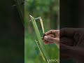 shooting iron ball using creative homemade slingshot #shortfeed