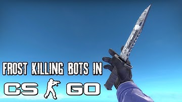 Frost Killing Bots In CS : GO | Counter Strike - Global Offensive | Frost - LowSpecGamer