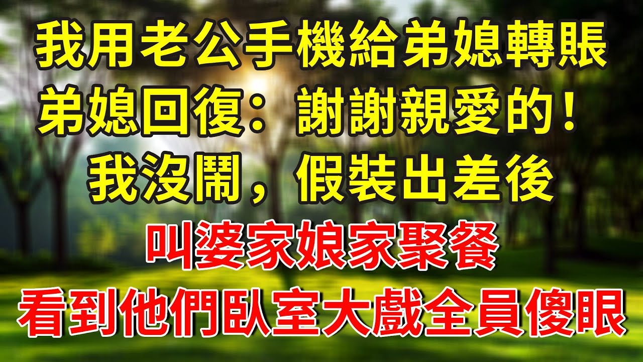 我用老公手機給弟媳轉賬，弟媳回復：謝謝親愛的！我沒鬧，假裝出差後，叫婆家娘家聚餐，看到他們的臥室大戲，兩家全員傻眼小叔子崩潰了！#人生感悟 #故事分享 #故事頻道 #正能量