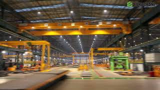 500 Cranes Delivered in 8 Months for A Giant Shipyard