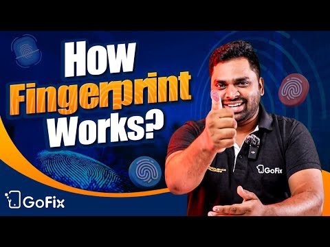 How do fingerprint sensors work in smartphones? - video from Gofix