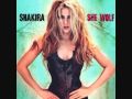 Shakira good stuff