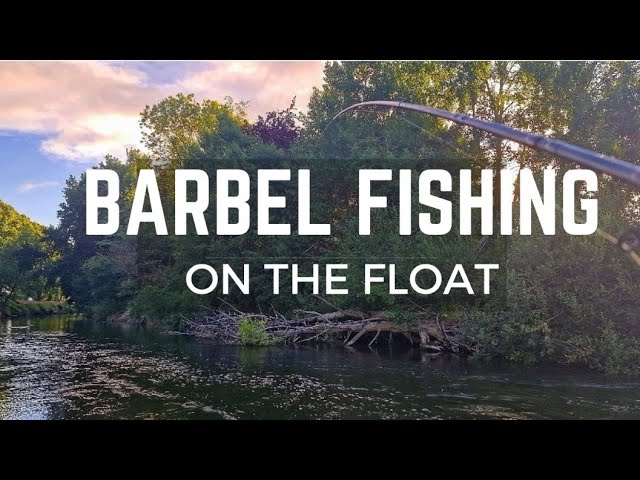 FLOAT FISHING FOR BARBEL 