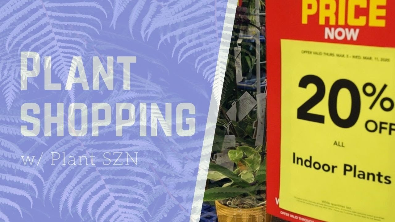 lowes return policy for plants