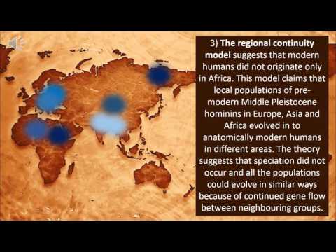 out of africa vs multiregional theory out of africa vs multiregional theory
