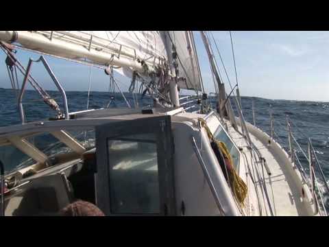 sailing in the southern ocean on R/V Tiama to Macquarie island