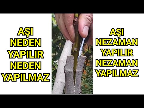 Aşı Neden Yapılır, Neden Yapılmaz