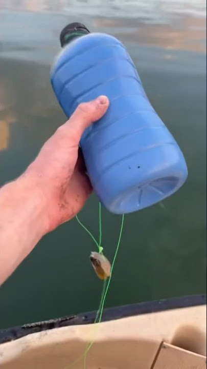 Jug Lines for Catfish