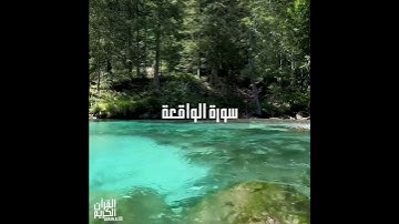 سورة : الواقعة القارئ : هلويست نصر الدين الكردي