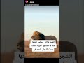 الشجرة التي يجلس تحتها أسد لاتتسلقها القرود كذلك بيوت الرجال يا صديقي الشجرة التي يجلس تحتها أسد لاتتسلقها القرود كذلك بيوت الرجال يا صديقي