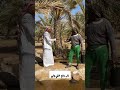 كومار خلي ولي
