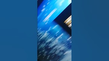 #dota2 #csgo #pubg #rust #cs2 #steam #shots #games #gaming #standoff2