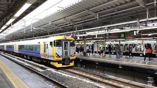 JR東日本E257系500番台(千マリNB-10編成)。