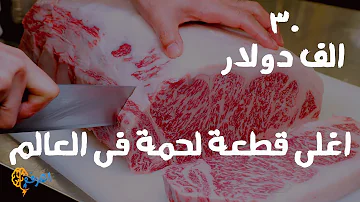 تحميل حضر حالك يا بقر ناكل لحم بقر