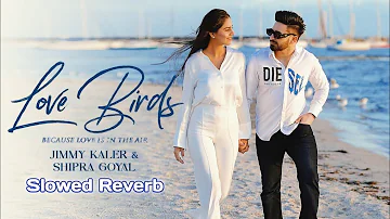 Love Birds - Jimmy Kaler Ft. Shipra Goyal (Slowed & Reverb)