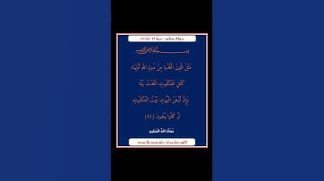 سورة العنكبوت - سورة 29 - اية 41
