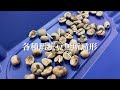 (生豆)E7HomeCafe一起烘咖啡 AI智能挑豆肯亞AA水洗單品咖啡生豆1公斤 product youtube thumbnail