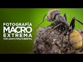 Fotografía Macro EXTREMA!💥 | Objetivo Sony - Aprende cómo hacerla | Español
