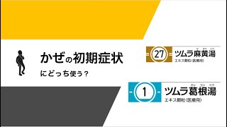 麻黄湯と葛根湯の比較