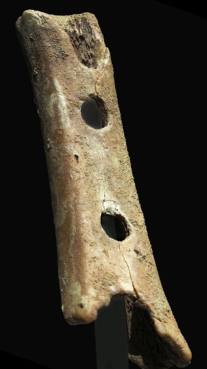 The OLDEST Instrument In the World: Neanderthal Flute 'Divje Babe Flute' #historicaltidbits