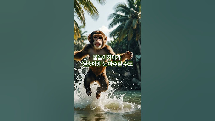🌊 죽기 전에 꼭 가봐야 할 전 세계 아름다운 해변 TOP10 공개!