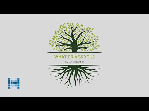 What Drives You?